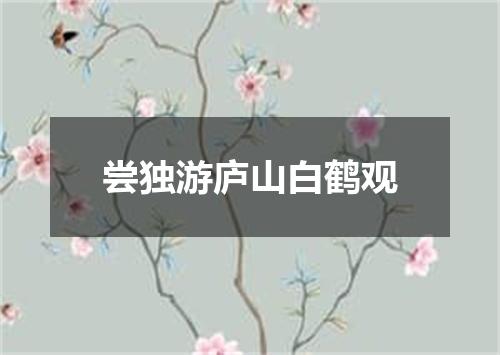 尝独游庐山白鹤观