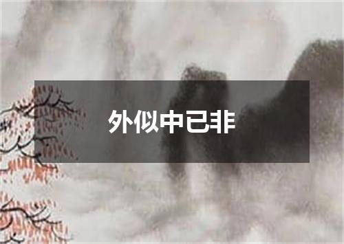 外似中已非