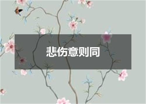 悲伤意则同