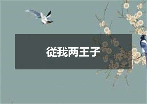 従我两王子