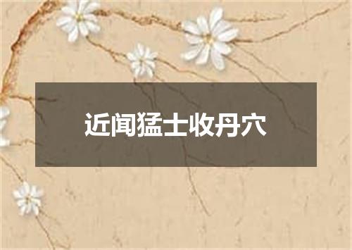 近闻猛士收丹穴