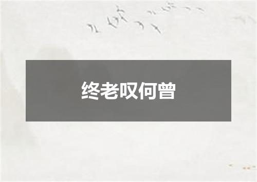终老叹何曾