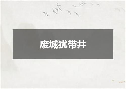 废城犹带井