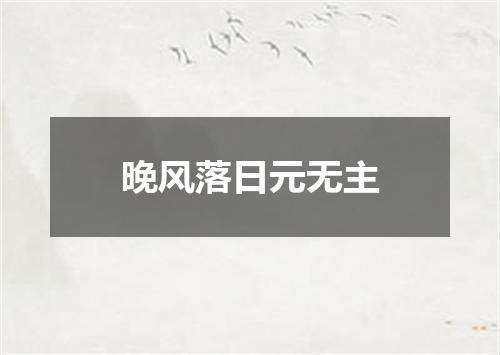 晚风落日元无主