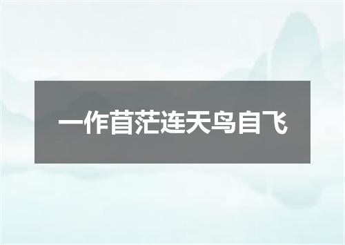 一作苜茫连天鸟自飞