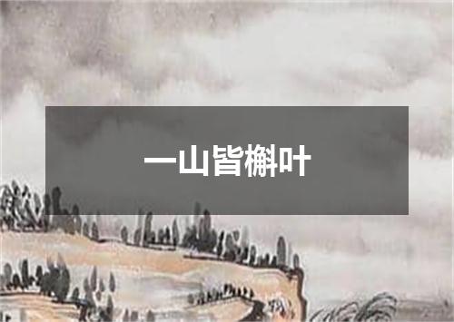 一山皆槲叶