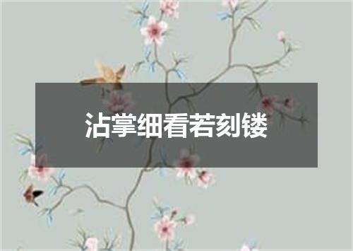沾掌细看若刻镂