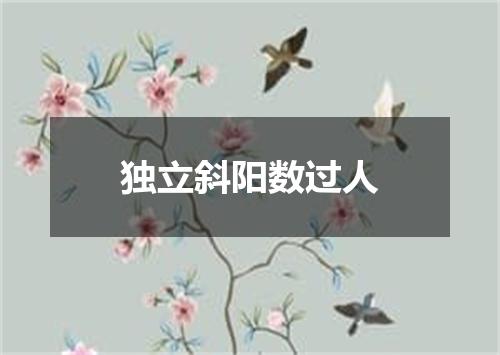独立斜阳数过人