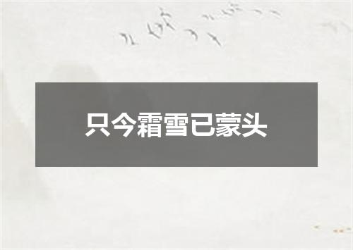 只今霜雪已蒙头