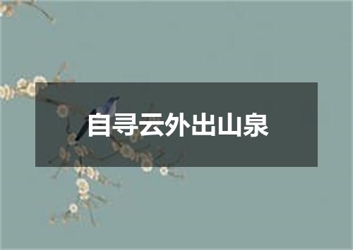 自寻云外出山泉