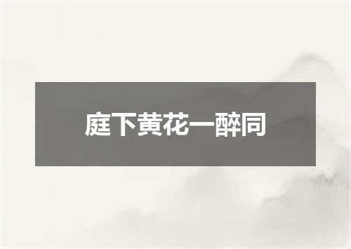 庭下黄花一醉同