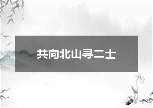 共向北山寻二士