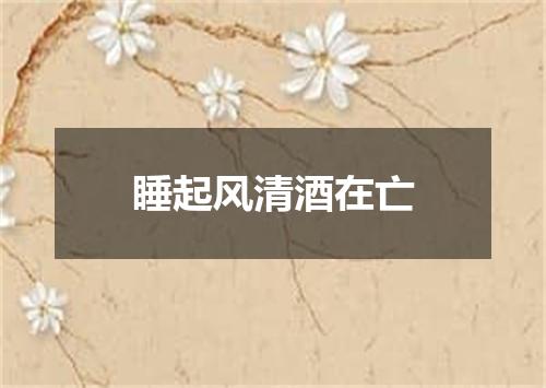 睡起风清酒在亡