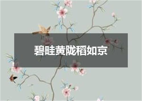 碧畦黄陇稻如京