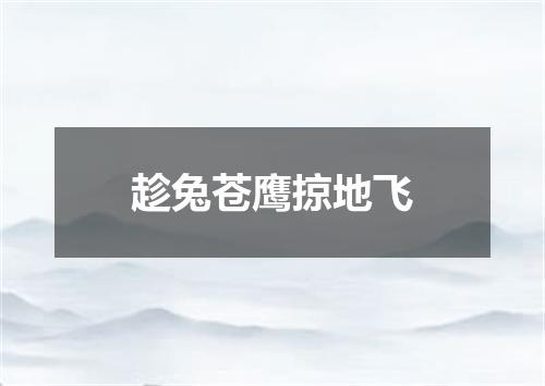 趁兔苍鹰掠地飞