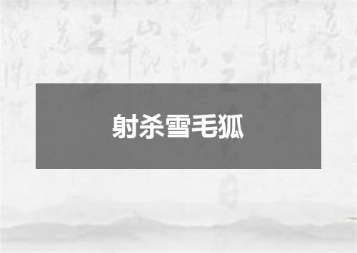 射杀雪毛狐