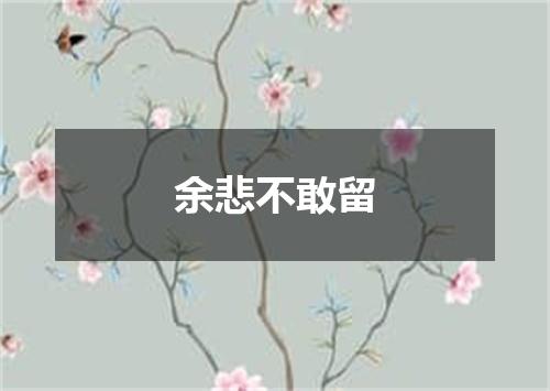 余悲不敢留