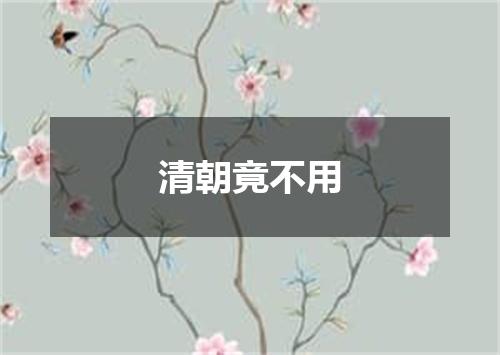 清朝竟不用