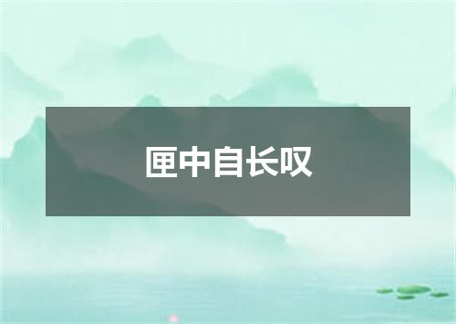 匣中自长叹