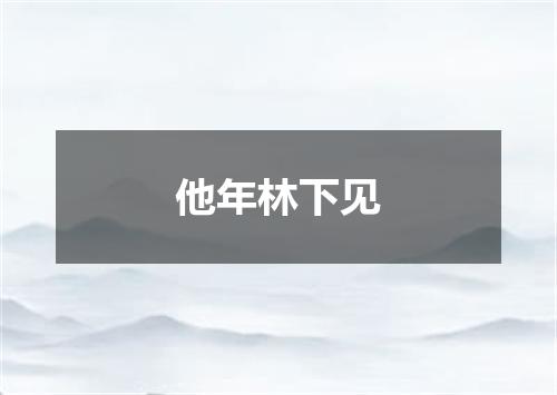 他年林下见