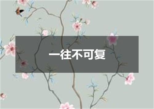 一往不可复
