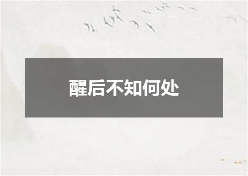 醒后不知何处
