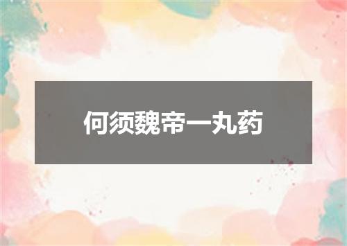 何须魏帝一丸药