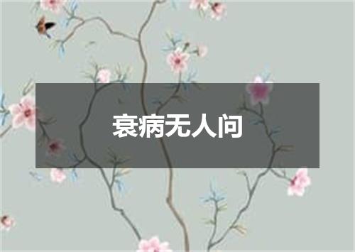 衰病无人问