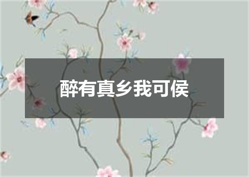 醉有真乡我可侯