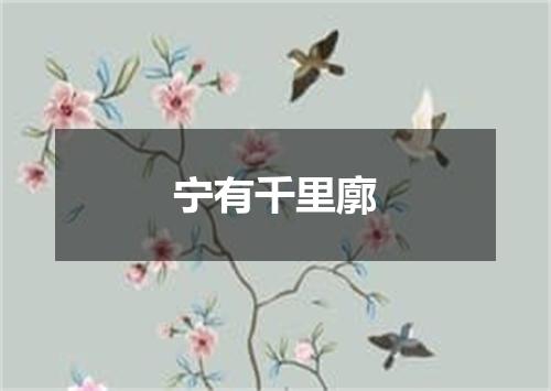 宁有千里廓