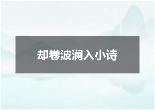 却卷波澜入小诗