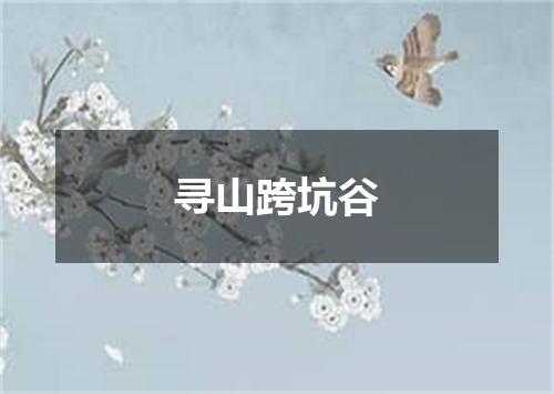 寻山跨坑谷