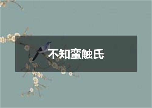 不知蛮触氏