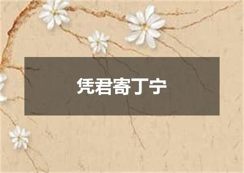 凭君寄丁宁