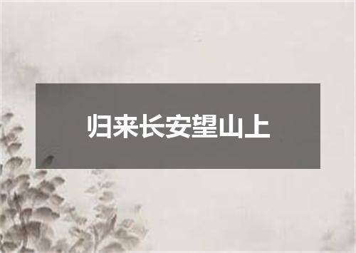 归来长安望山上