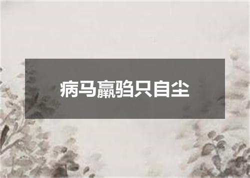 病马羸驺只自尘
