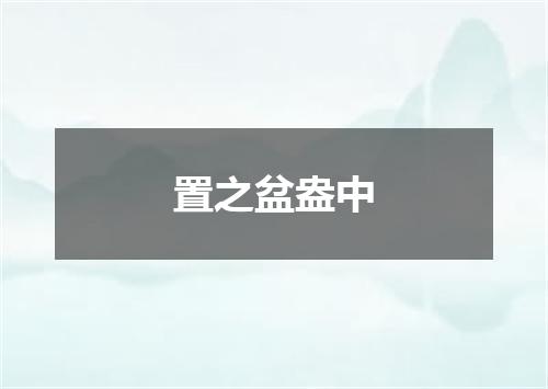 置之盆盎中