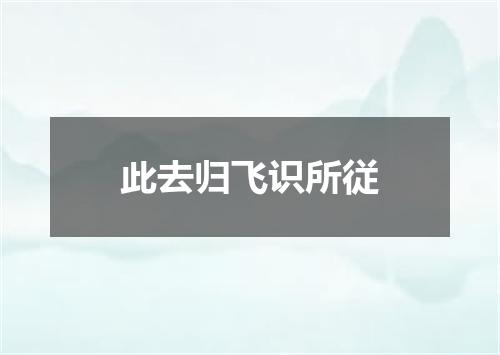 此去归飞识所従