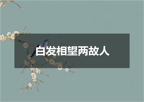 白发相望两故人