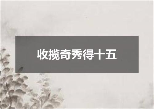 收揽奇秀得十五