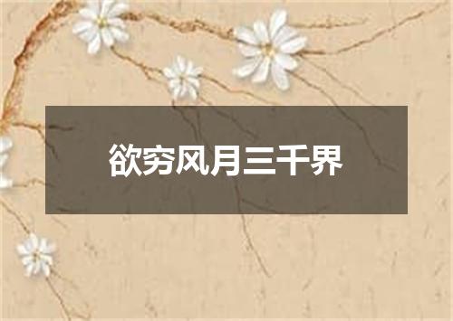 欲穷风月三千界