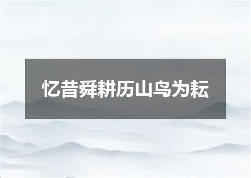 忆昔舜耕历山鸟为耘