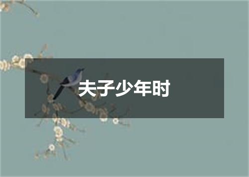 夫子少年时