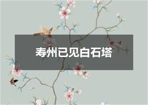 寿州已见白石塔