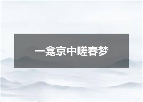 一龛京中嗟春梦