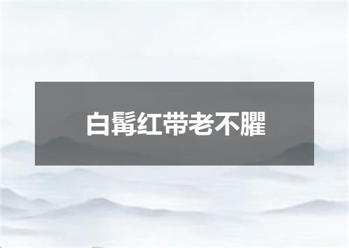 白髯红带老不臞