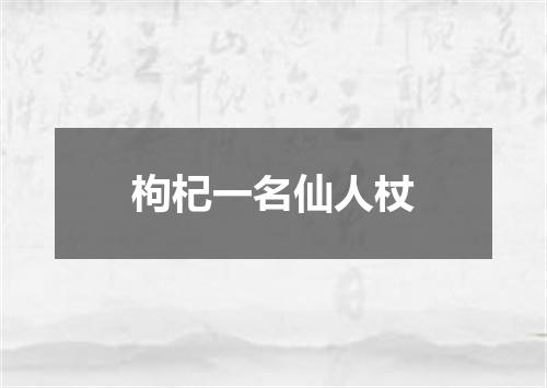 枸杞一名仙人杖