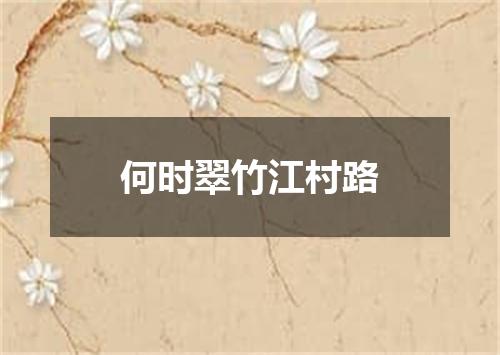 何时翠竹江村路
