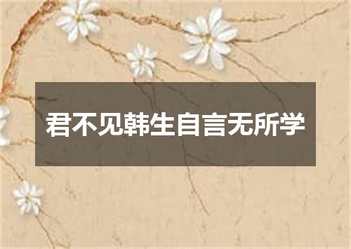 君不见韩生自言无所学