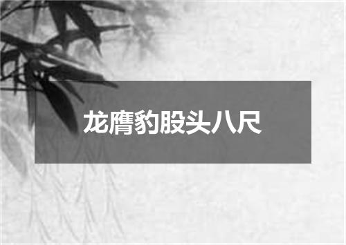 龙膺豹股头八尺